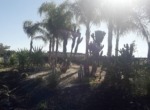 Maroc marrakech villa vente location route ourika plantes