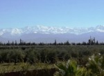 Maroc marrakech villa vente location route ourika vue